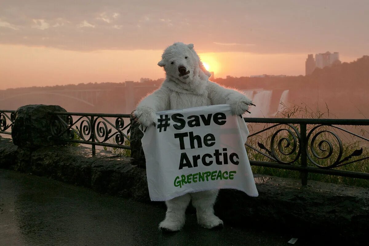 Join greenpeace. Гринпис. Гринпис. Организация гринпис. Гринпис.
