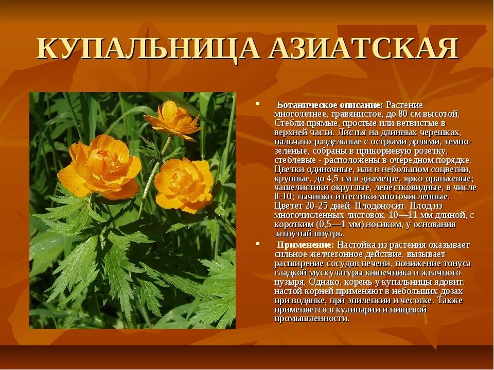 Жарко краткое содержание