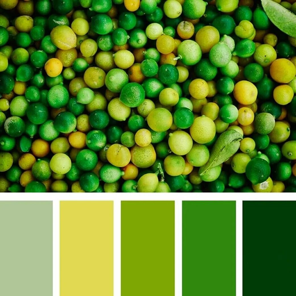Сочетания салатового с другими цветами. Сочетание с зеленым. Сочетание цветов с зеленым. Цветовая палитра зеленый. Цветовая палитра зеленых оттенков.
