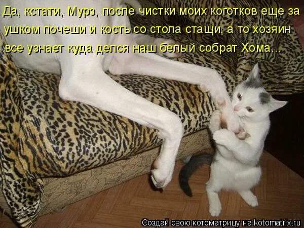 Щас бы поебаться и уснуть