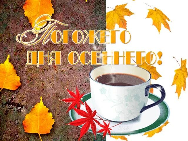 С бодрымноябрьским утром. Доброе ноябрьское утро и хорошего дня. Доброе ноябрьское утро хорошего дня и прекрасного. Открытки с добрым ноябрьским утром. Прекрасного ноябрьского дня и отличного настроения.