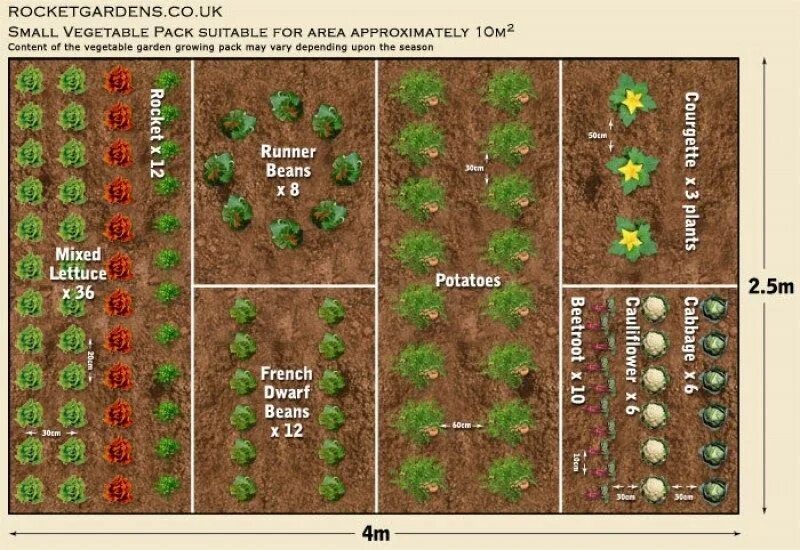 Размер грядок на огороде. План огорода. Планирование грядок на участке. Схема грядок на огороде. Расположение грядок на огороде.