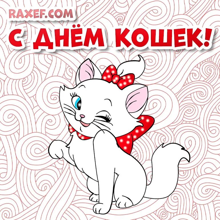 Поздравление с днем кошек. День кошек открытки. Поздравления с днём кошек в картинках.