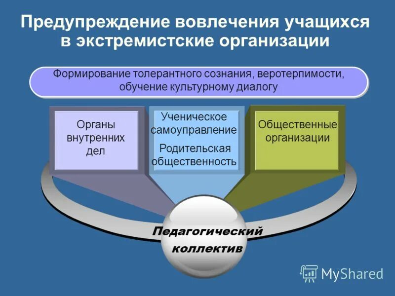 Противодействие вовлечению несовершеннолетних в сообщества экстремистской направленности. Вовлечение молодежи в экстремистскую деятельность. Структура экстремистской организации. Профилактика в образовательных учреждениях. Профилактика экстремизма обучающихся.