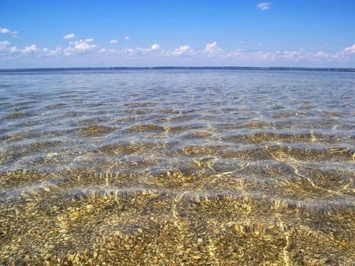 Ил азовского моря