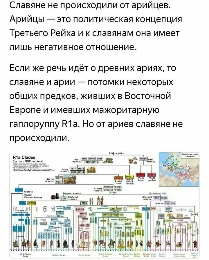 Харийцы дарийцы рассены святорусы цвет глаз. Арийцы харийцы дарийцы рассены. Арийские характеристики. Дарийцы харийцы святорусы расены. Народы относящиеся к арийцам.
