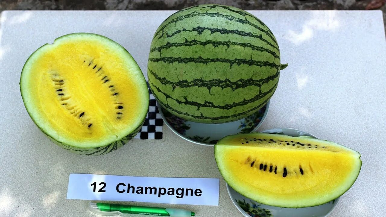 Арбуз шампань f1. Арбузы желтые пятерочка. Арбуз лимончелло семко. Арбуз шампань f1. Желтые арбузы семко.
