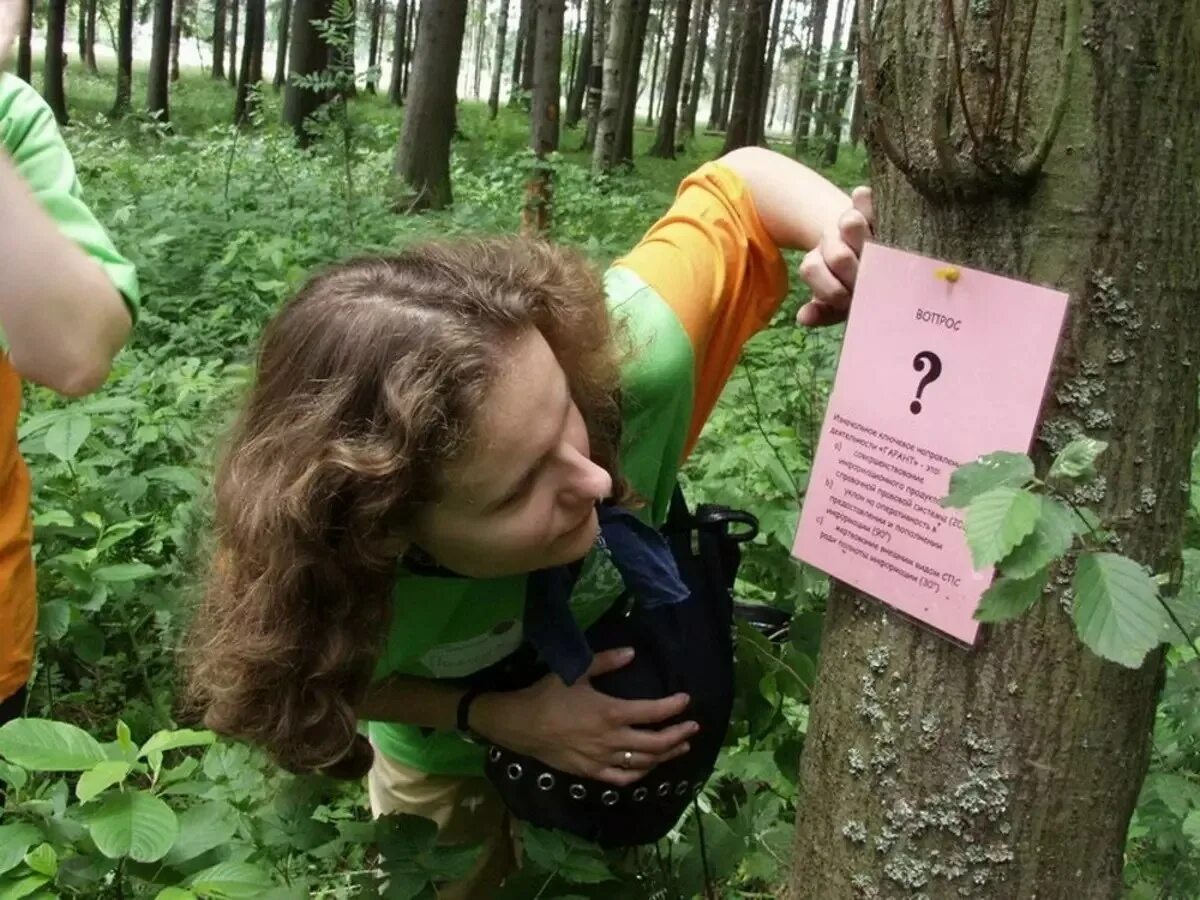 Квест на природе для компании взрослых. Тематический корпоратив на природе. Квесты на природе сценарий. Тимбилдинг. Командный квест на природе.