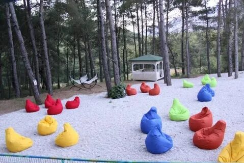 Forest holidays