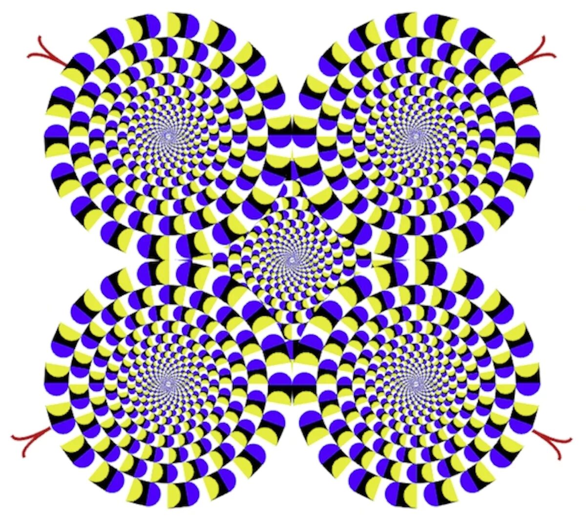 Вопросы с обманом. Оптическая иллюзию японского психиатра Акиоши Китаока. Акиоши Китаока иллюзия. Тест Акиоши Китаока. Иллюзия Акиоши Китаока вращающийся змей.