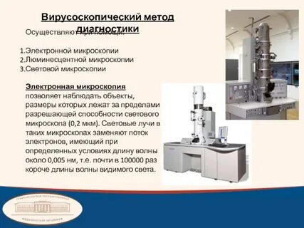 Метод микроскопии позволяющий изучать вирусы напрямую