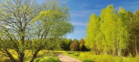 May nature