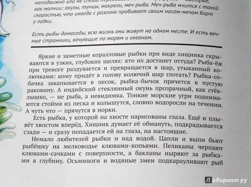 Сладков рассказ рыбы читать. Текст н. Сладкова "рыбы".. Разговор двух рыбешек н. Сладков. Прочитайте рыбе вода