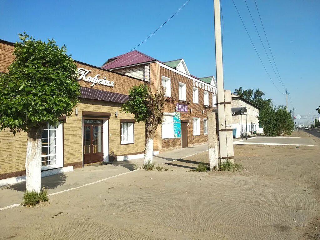 Дом офицера город борзя. Природа забайкальского края чита. Борзя чайковского 7. Цветы борзя. Цветы борзя.