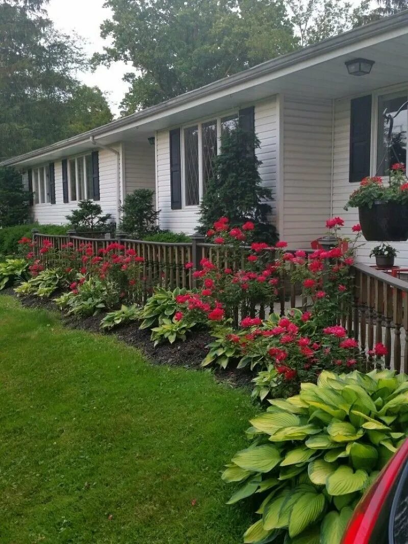 Какие цветы посадить перед домом. Палисадник Энфилд. Цветник у веранды. Терраса с клумбами. Цветы перед домом.