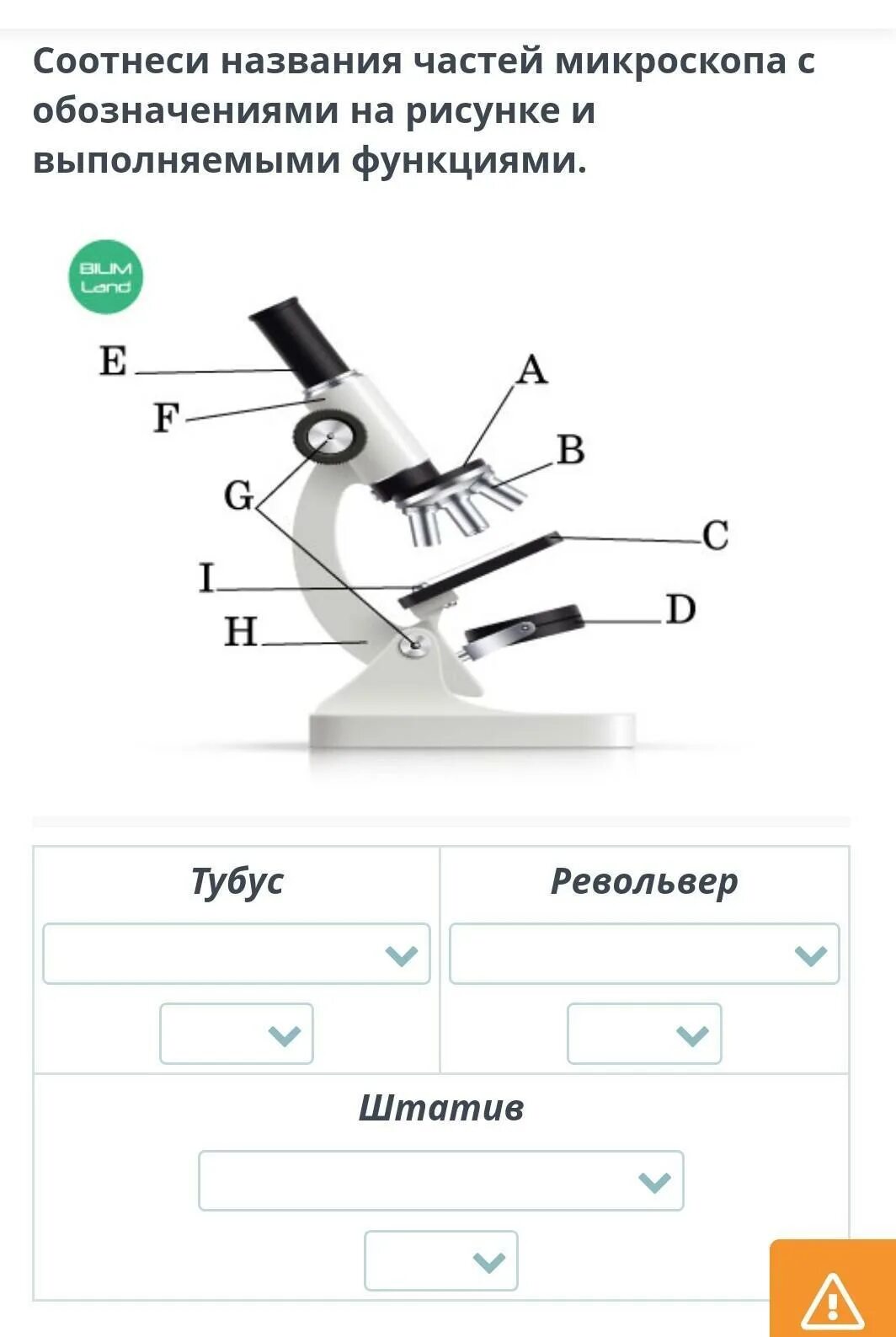 Какую функцию выполняет тубус в микроскопе. Строение микроскопа револьвер. Название частей микроскопа. Микроскоп с обозначениями. Название части название частей микроскопа.