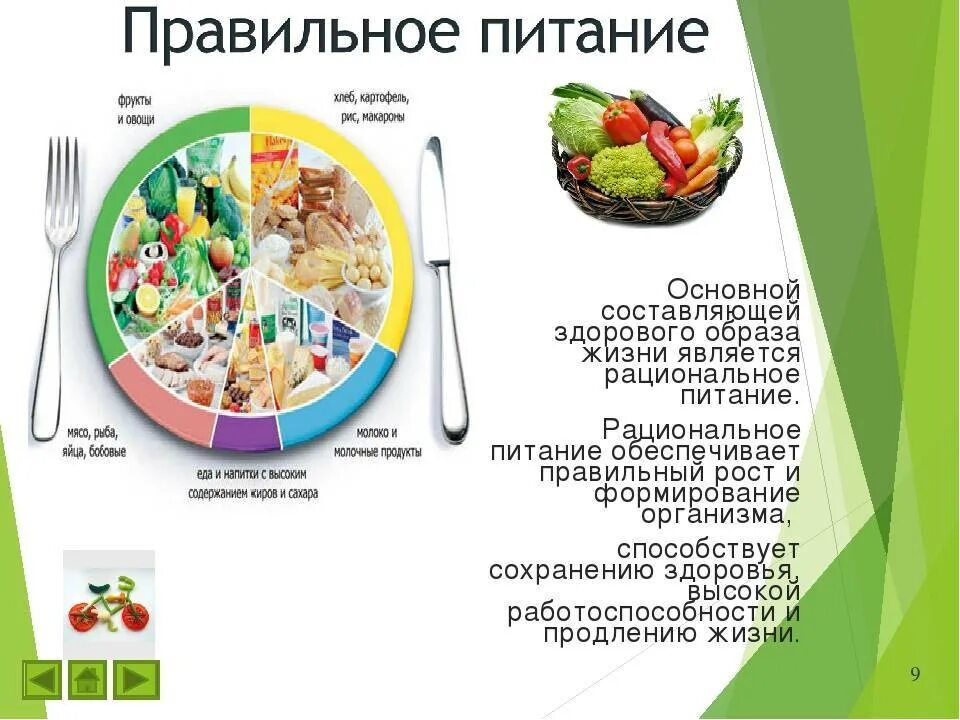 Образ жизни меню