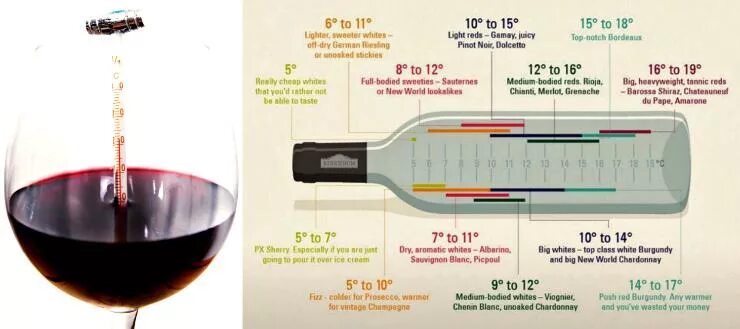 Температура хранения вина. Температура хранения вин. Оптимальная температура хранения вина. Условия хранения вина.
