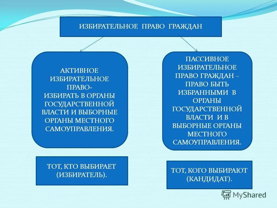 Формы избирательной активности граждан. Активное избирательное право. Активное и пассивное избирательное право.