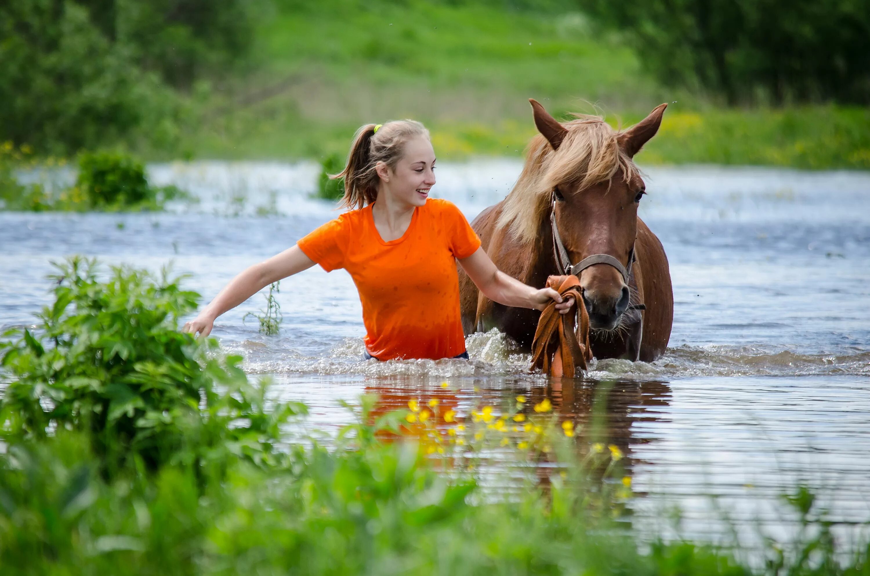 Купание на лошадях. Купание на лошади фотосессия. Лошадь купается. Девушка плавает с лошадью. Купание лошадей