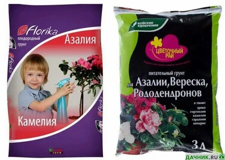 Какой грунт нужен для женского счастья цветок