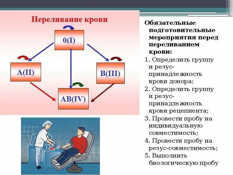 Как происходит переливание крови. Мероприятия перед переливанием крови. Переливание крови информация. Последовательность мероприятий при переливании крови. Сообщение на тему переливание крови.