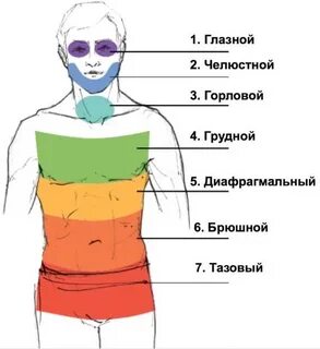 Карта сегментов