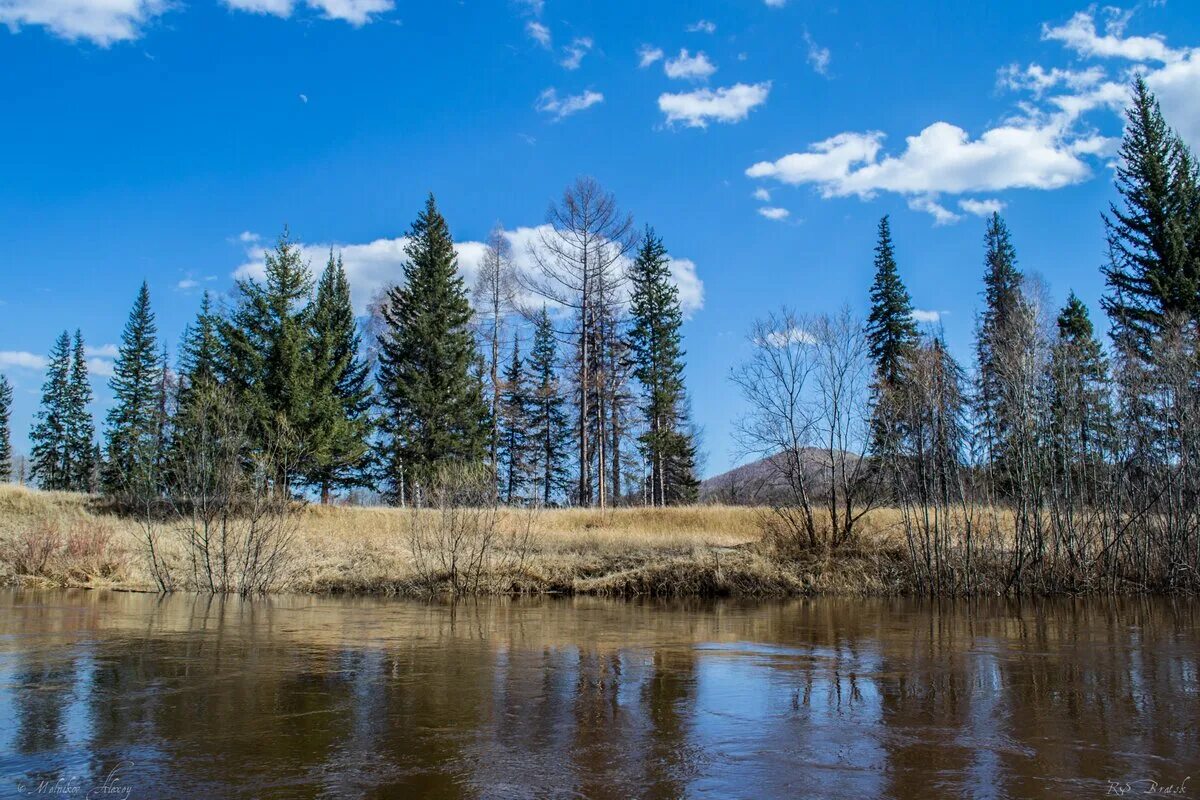 вихоревка поселок. р вихоревка. р вихоревка. гора моргудон братск. река вихоревка.
