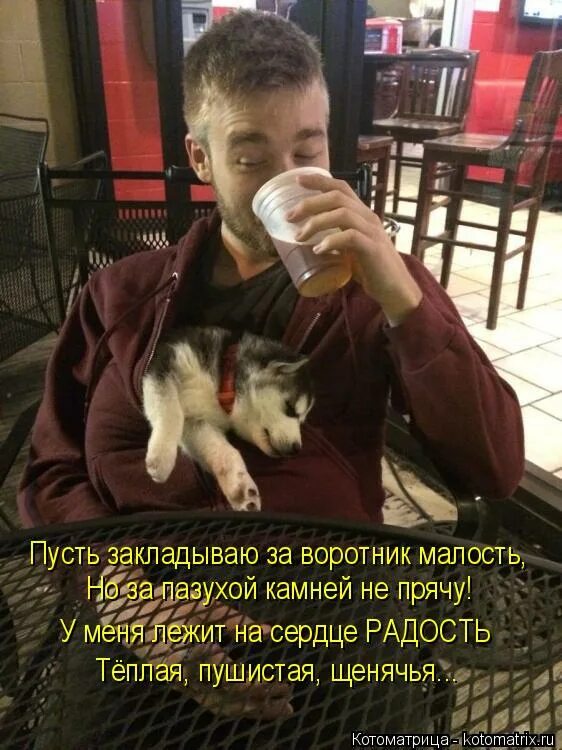 Пельмени для мужчин. Закладывать за воротник юмор. Заложить за воротник. Накидать за воротник. Напихать за воротник.