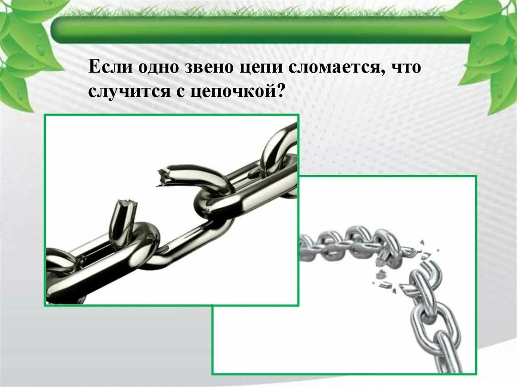 Цепь звено описание. Звенья одной цепи. Цепь рисунок. Слайды Цепочки. Звенья цепи для презентации.