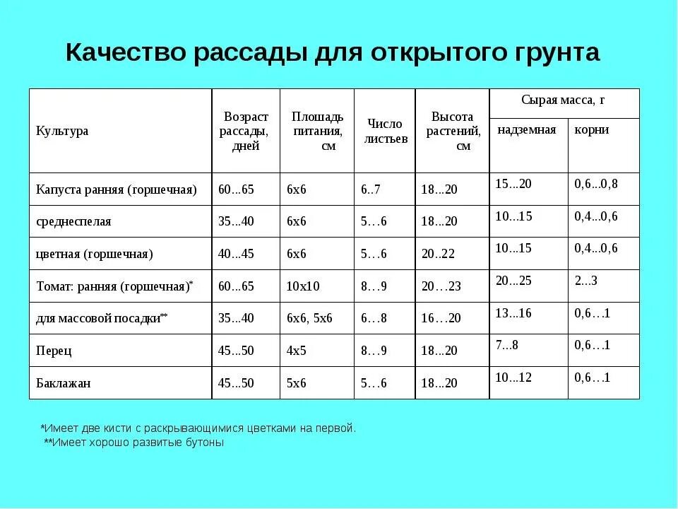 Какую температуру выдерживает рассада огурцов. Рассада капусты температурный режим. Температура выращивания рассады. Температура для капустной рассады. Рассада капусты при какой температуре.