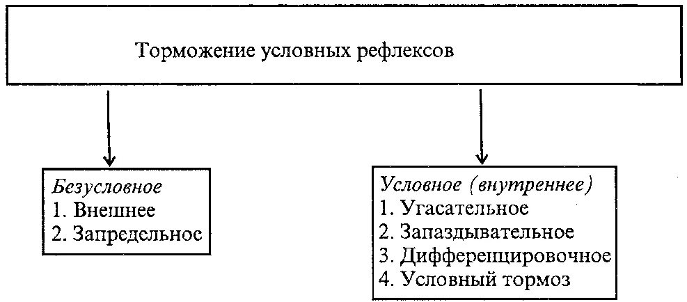 Назовите виды торможения условных рефлексов. Безусловное и условное торможение схема. Схема безусловного торможения условных рефлексов. Торможение условных рефлексов схема. Безусловное внешнее и условное внутреннее торможение.