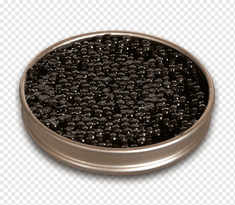 Баррель черной икры канал. Икра черная Royal Black Osetra. Beluga Caviar. Белужья икра. Блэк Кавиар Белуга.