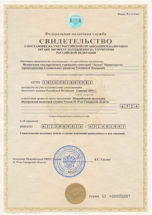 Как выглядит свидетельство инн юридического лица Учредительные документы Государственные казенные учреждения Новосибирской област