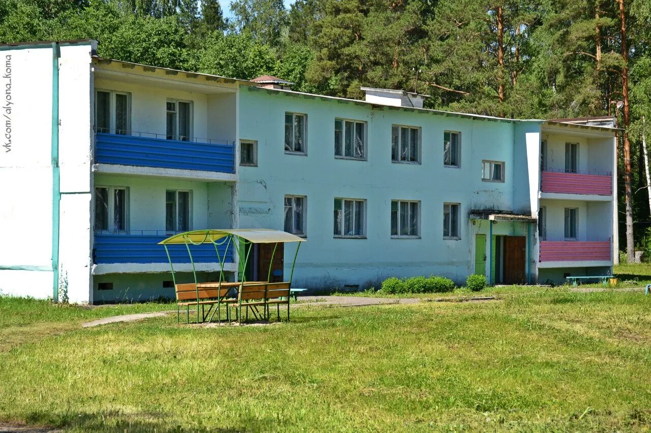 Загородное стационарное. Лагерь Дубки Кольчугино. Лагерь Дубки Кольчугинский район. Дубки Владимирская область Кольчугинский район лагерь. Детский лагерь Дубки Кольчугино.