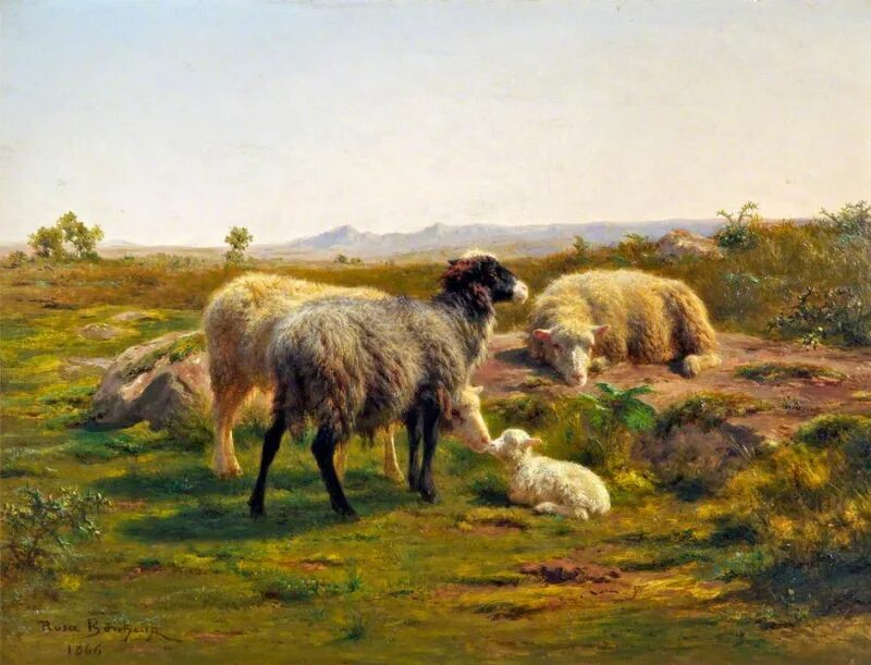 Пастух в старину. Rosa bonheur (1822–1899). Франция. Роза бонёр художница. Роза бонёр (1822 – 1899). Роза бонёр реализм.