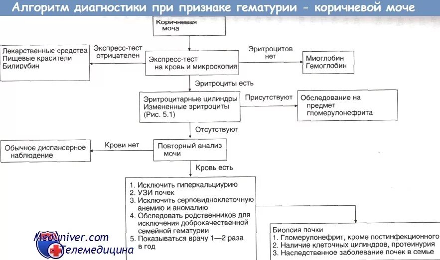 Дифференциально-диагностический алгоритм при гематурии. Гематурия алгоритм обследования. Алгоритм диагностики гематурии. Диф диагноз гематурии.