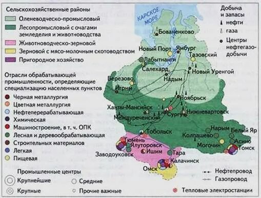 Природные ресурсы отрасли специализации центры урал. Хозяйство Западно Сибирского района. Западно-Сибирский экономический район сельское хозяйство. Западно сибирской экономического района хозяйство района. Сельскохозяйственная специализация Восточной Сибири.