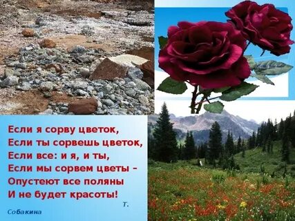 Если я сорву