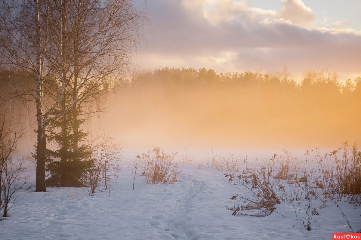 рассказ о зимнем тумане встает холодное тусклое. солнечный зимний день. лучи солнца. в зимнем тумане встает солнце. зимний рассвет в степи.
