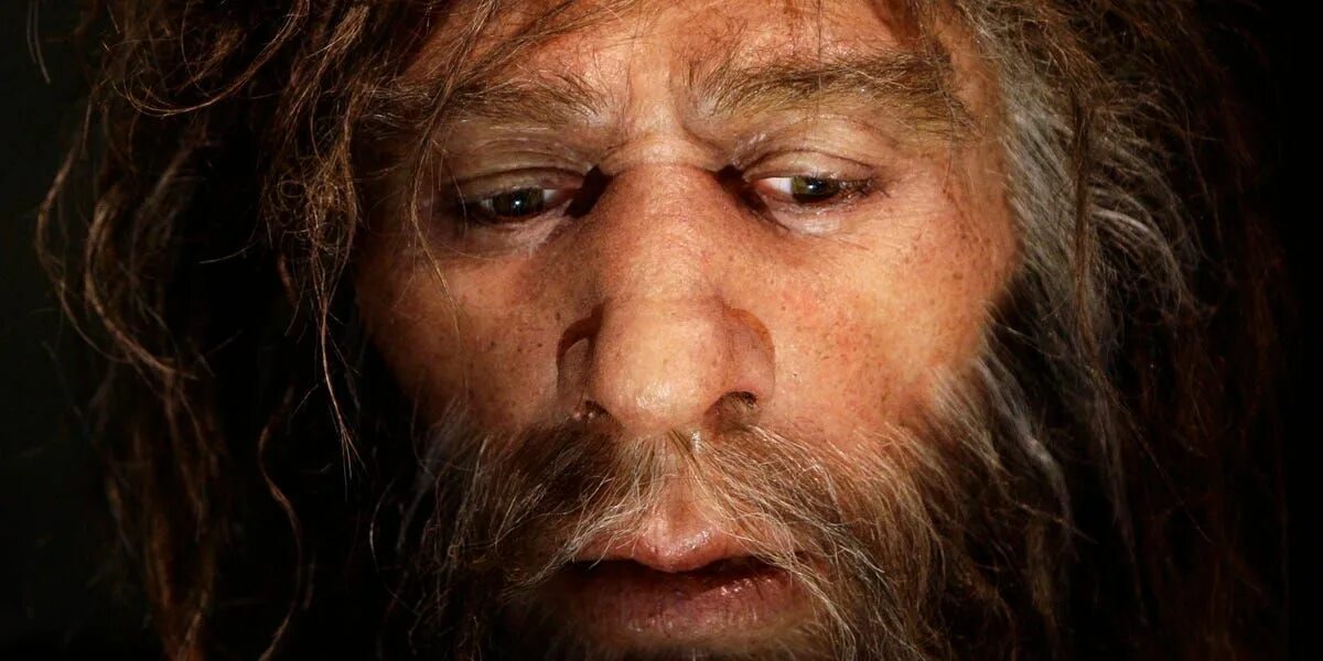 Хомо сапиенс. Неандерталец. Древний человек. Человек живет 1000 лет
