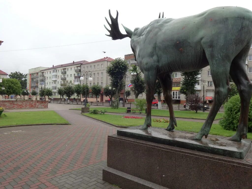 Погода на 10 дней гусева калининградской области. Гусев Калининградская область. Фото города Гусева Калининградской области. Гусев олень Калининград.