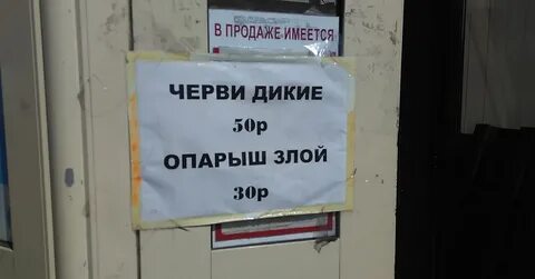 Дикий 5