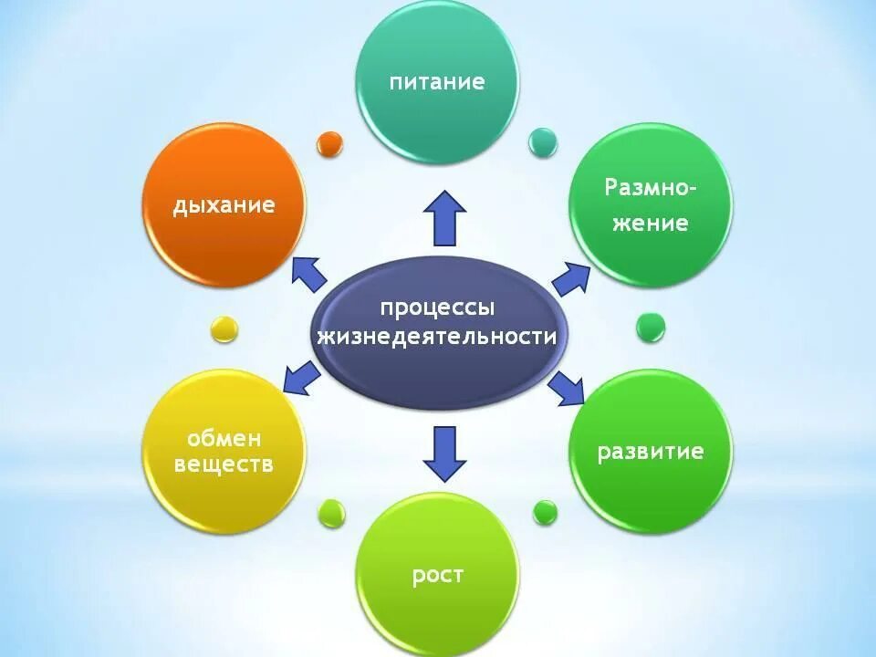 Изменение организмами в процессе жизнедеятельности. Процессы жизнедеятельности. Жизнедеятельность организмов. Процессы жизнедеятельности человека. Процессы жизнедеятельности живых организмов.