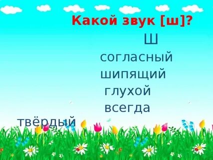 Почему ш твердая