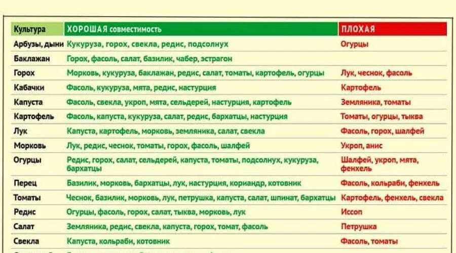 Что посадить после гороха