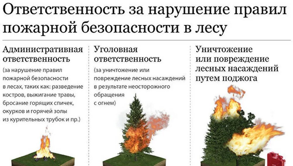 Нарушение пожарных правил коап. Ответственность за нарушение правил пожарной безопасности. Нарушение правил пожарной безопасности в лесах. Ответственность за нарушение правил пожарной безопасности в лесах. Нарушение правил пожарной безопасности в лесу.