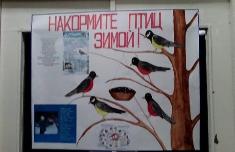 Как помочь птицам зимой стенгазета шаблоны 2