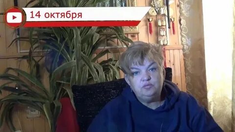 Маэстро мажор на ютубе последние