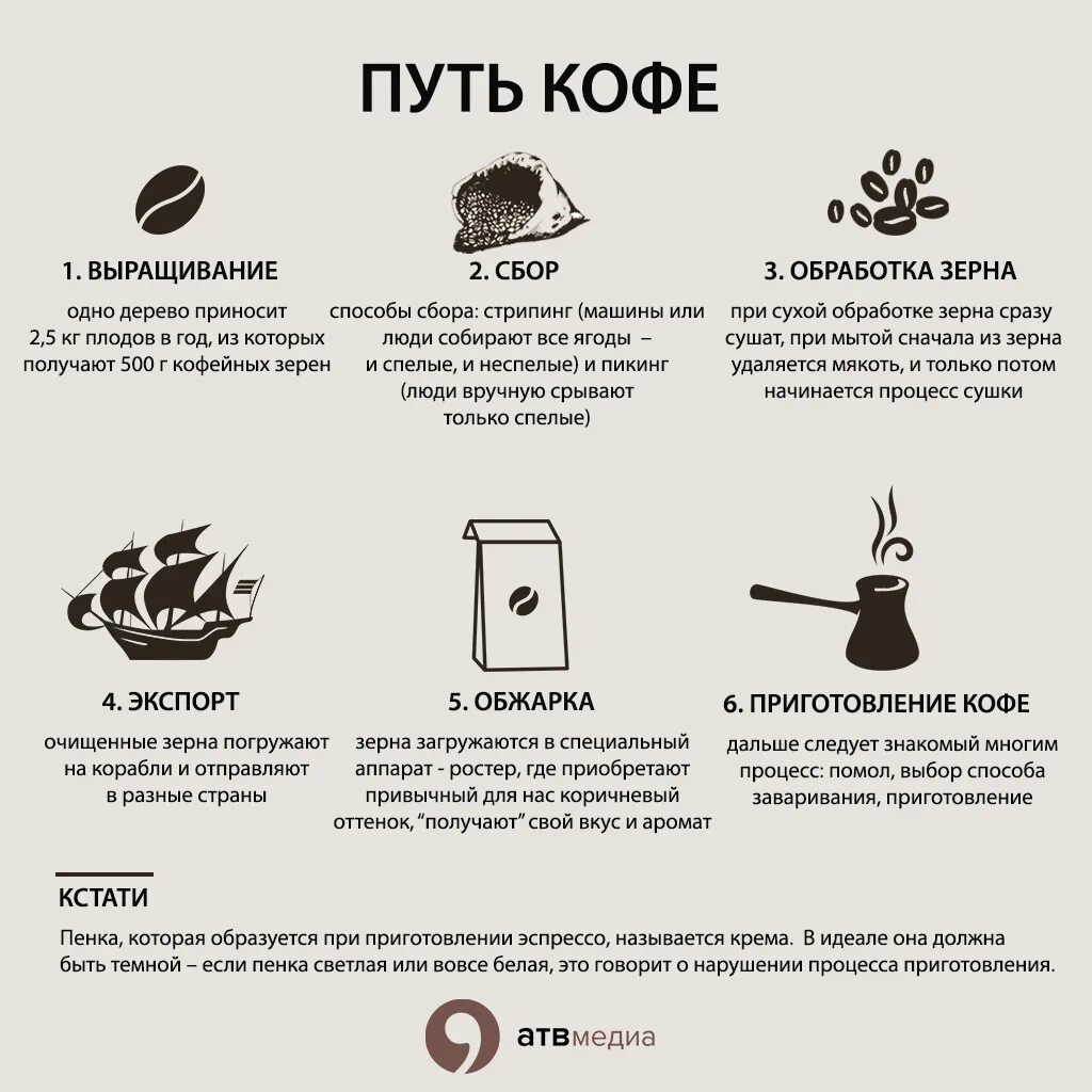 Сколько молоть зерна кофе. Схема обработки кофейных зерен. Схема производства зернового кофе. Обработка кофе схема. Обработка кофецных аерен.